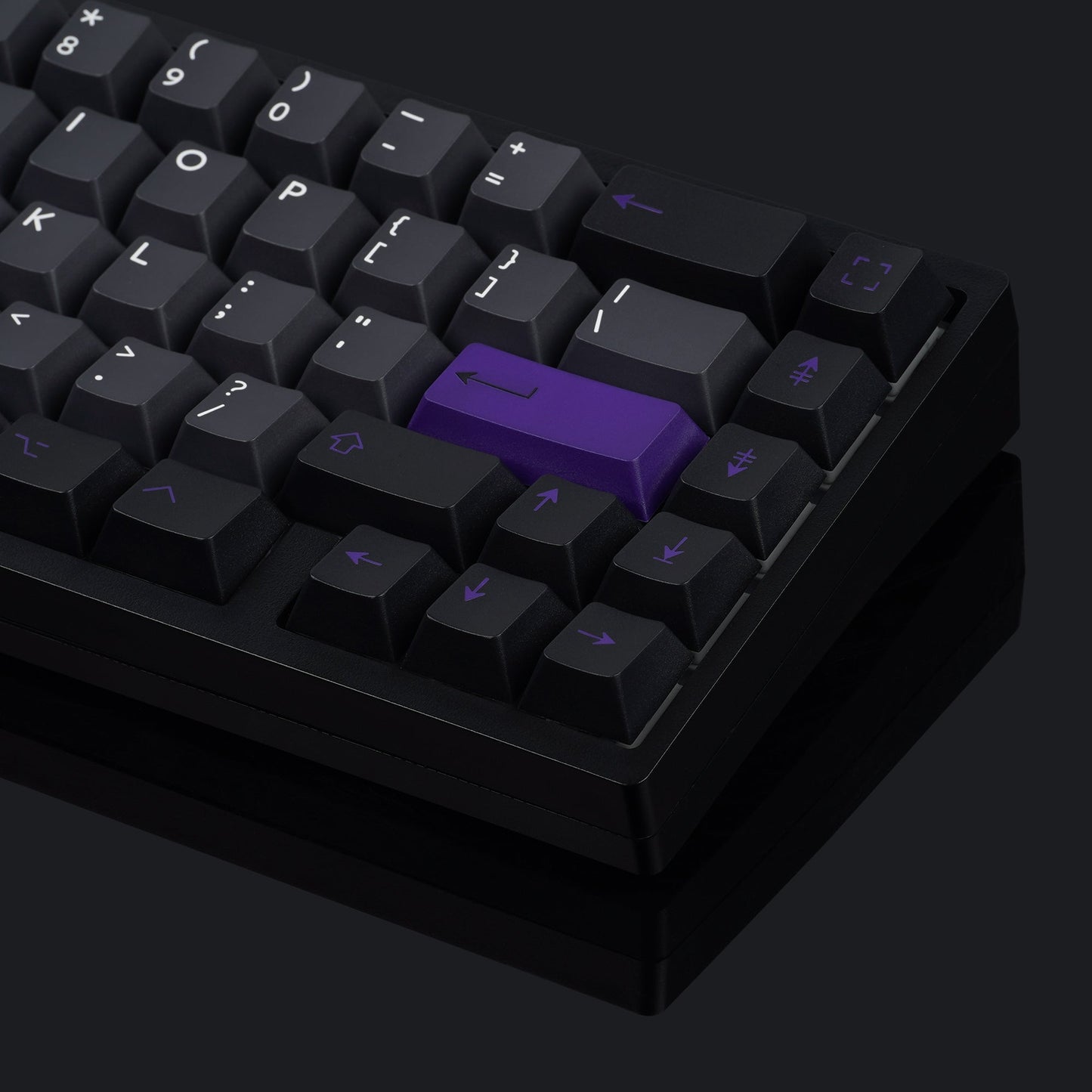 PBTfans Purpolch R2