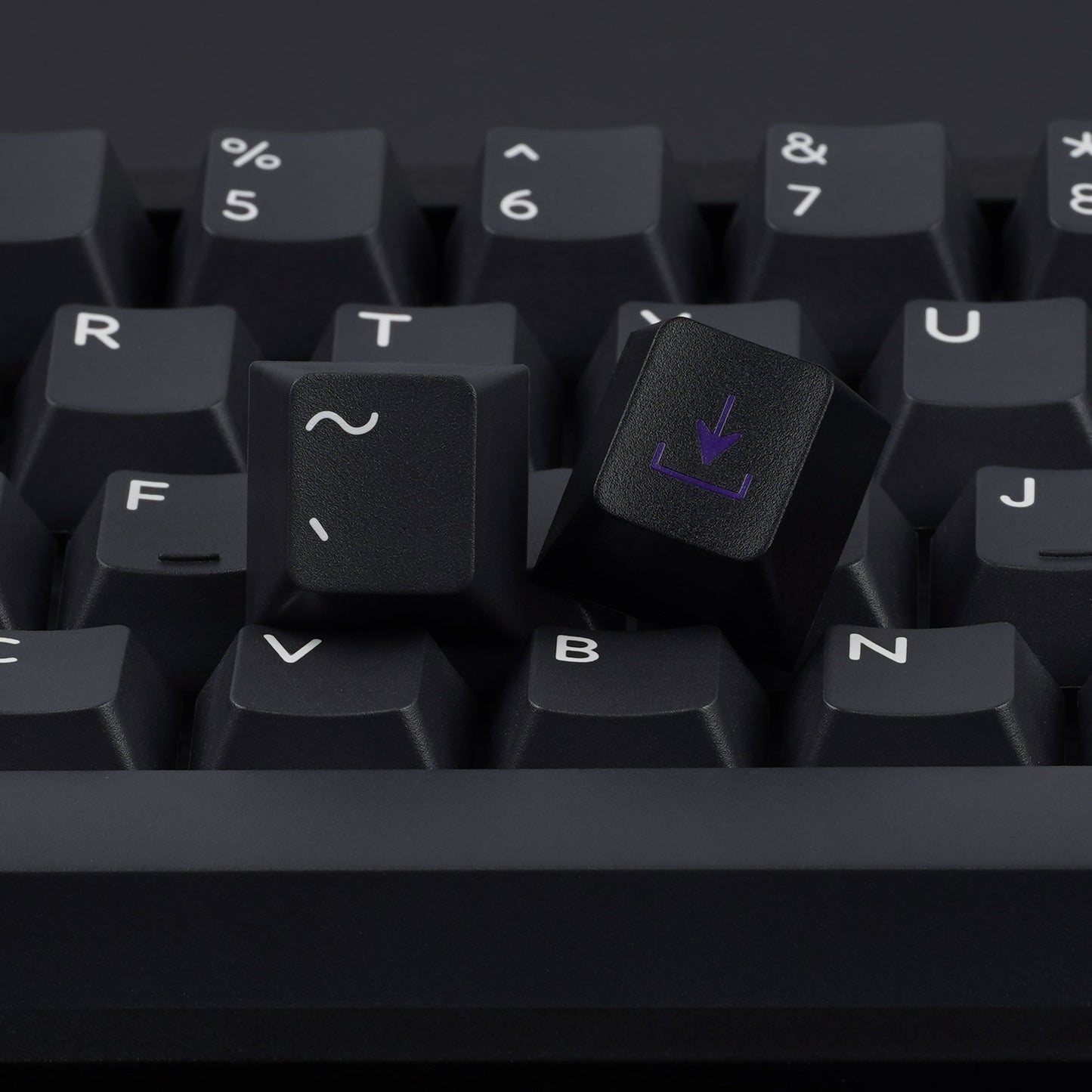 PBTfans Purpolch R2