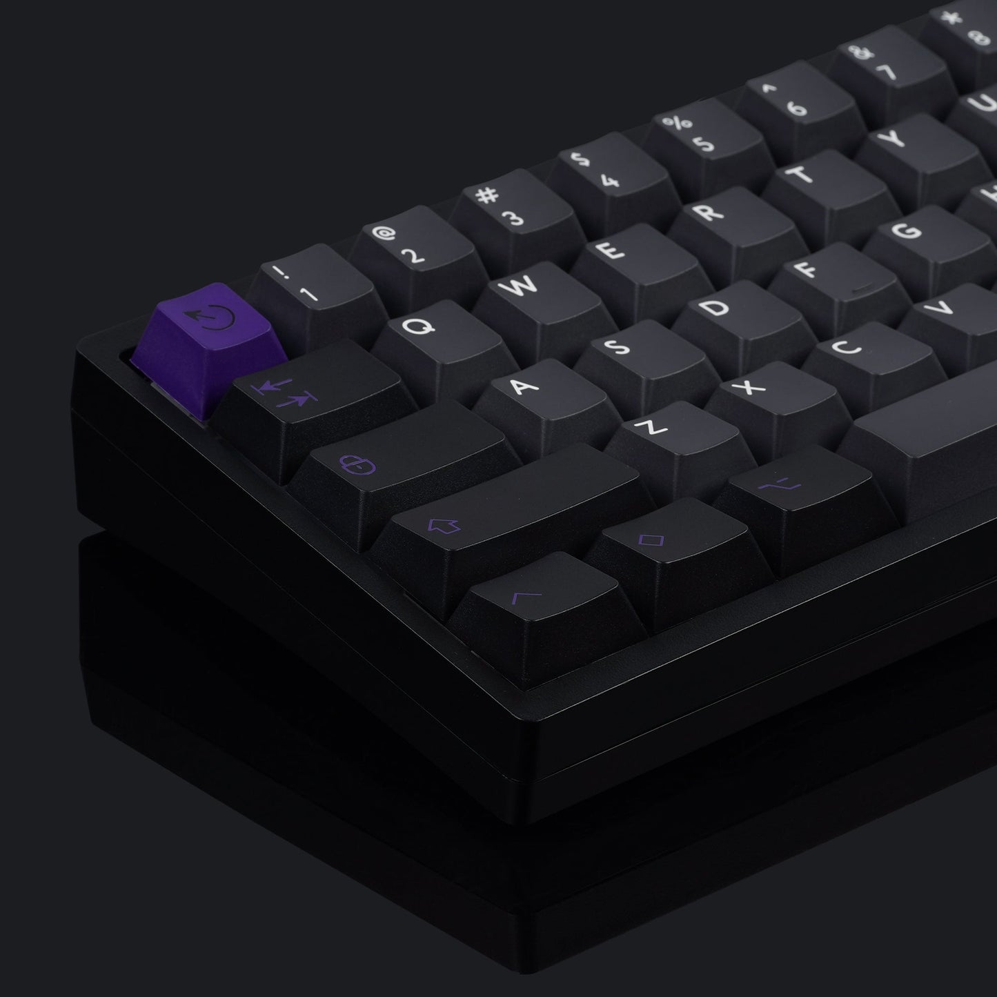 PBTfans Purpolch R2