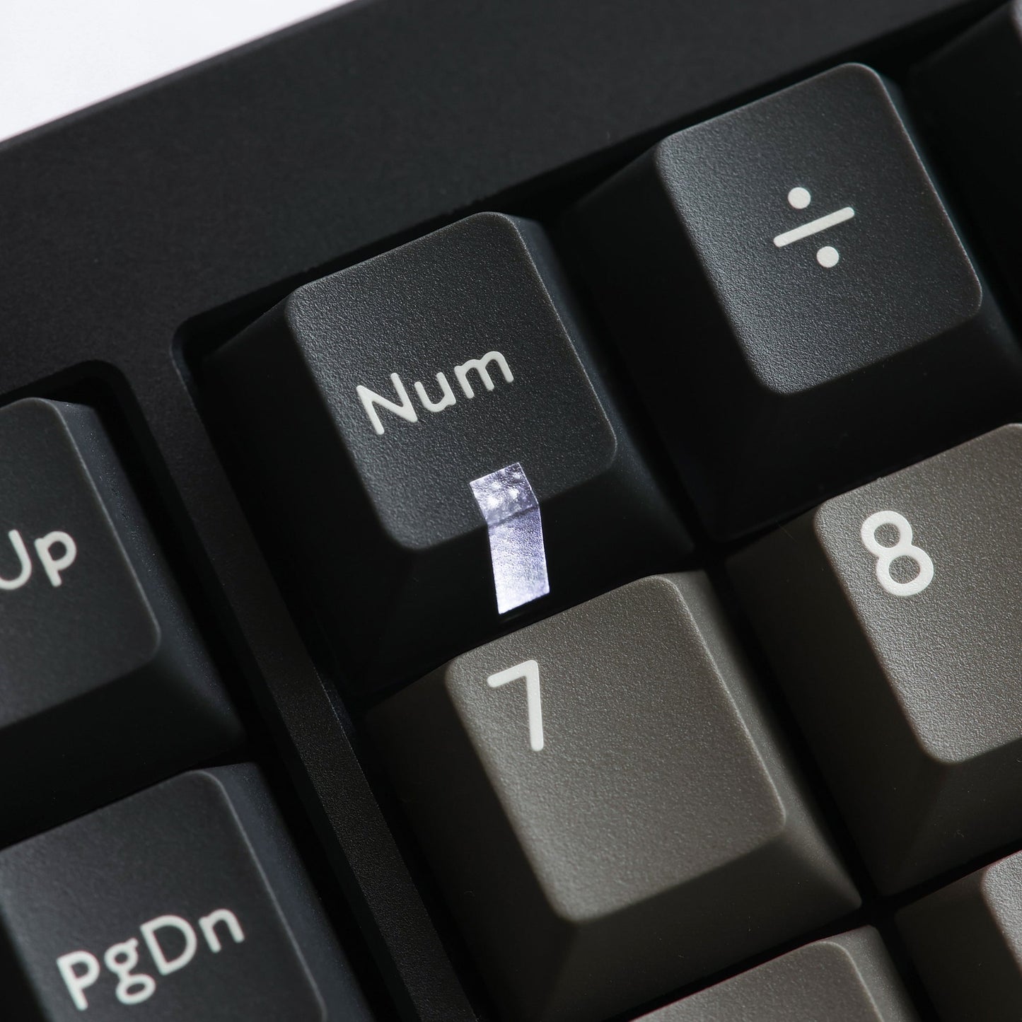 PBTfans Dolch