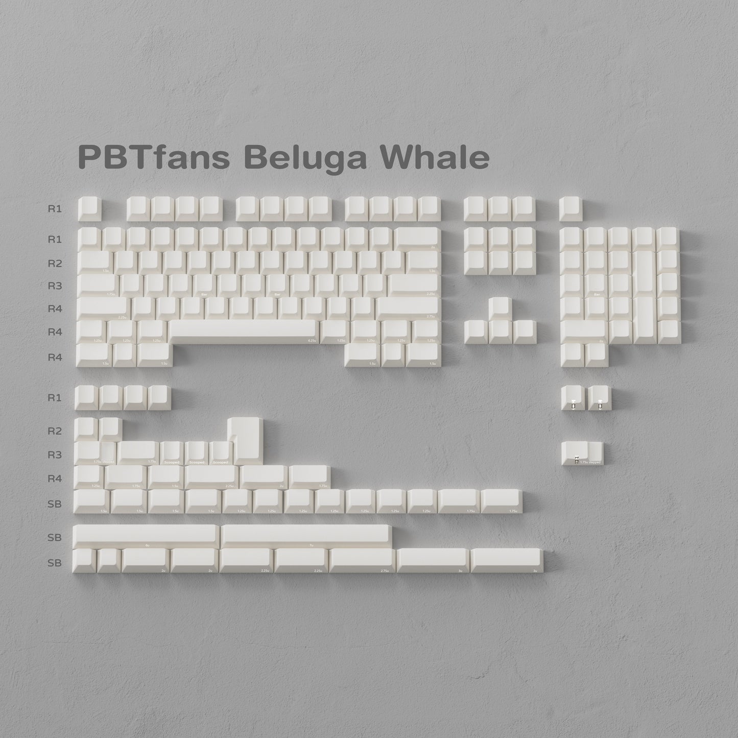 PBTfans Beluga whale